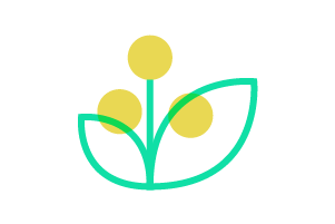 Plantas de interior más saludables